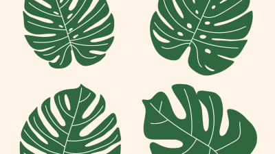 Jenis Monstera